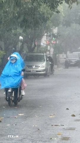 Ảnh minh họa. (Ảnh: TTXVN phát)