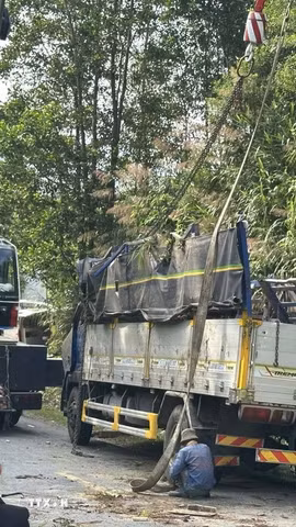 Lực lượng chức năng tổ chức cứu hộ chiếc xe tải bị lật, điều tra nguyên nhân vụ tai nạn. (Ảnh: TTXVN phát)