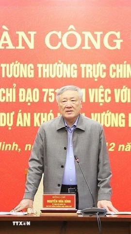 Ủy viên Bộ Chính trị, Phó Thủ tướng Thường trực Chính phủ Nguyễn Hòa Bình phát biểu tại buổi làm việc. (Ảnh: Thái Hùng/TTXVN)