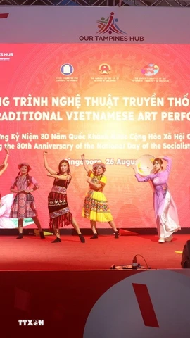 Một tiết mục đặc sắc tại Chương trình biểu diễn nghệ thuật truyền thống Việt Nam tại Singapore. (Ảnh: Tất Đạt/TTXVN)
