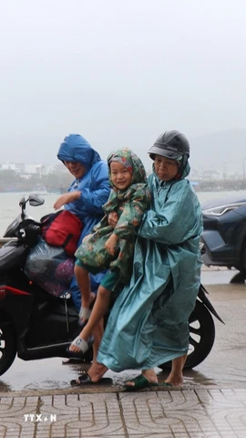 Di dời người dân phường Sa Huỳnh đến các nơi tránh trú tập trung. (Ảnh: Phạm Cường/TTXVN)