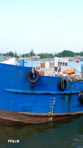 Tàu vận tải rời cảng Sa Kỳ chở hàng hóa ra đặc khu Lý Sơn phục vụ thị trường Tết. (Ảnh: Lê Phước Ngọc/TTXVN)