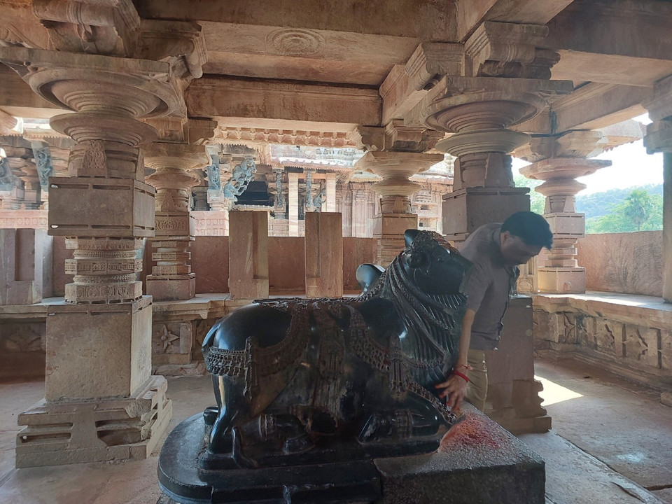 Theo truyền thuyết, bò thần Nandi là vật cưỡi của Thần Shiva. Do đó, người Ấn Độ không ăn thịt bò. Tất cả các bộ phận của bò đều mang một ý nghĩa tôn giáo nhất định. (Ảnh: Minh Thu/Vietnam+)