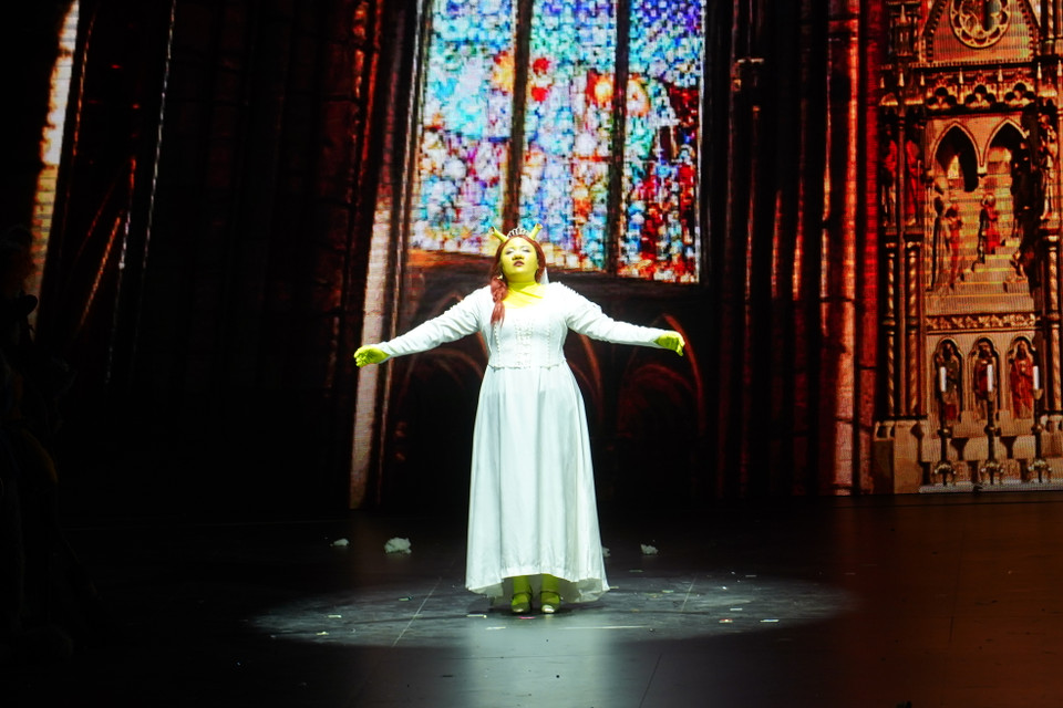 Thông điệp chủ đạo mà "Shrek: On National Tour" mang lại chính là sự bình đẳng: Bình đẳng giới, bình đẳng giai cấp, bình đẳng ngoại hình, tôn trọng sự khác biệt của mỗi cá nhân và ai cũng đều xứng đáng có được hạnh phúc. (Ảnh: PV/Vietnam+)