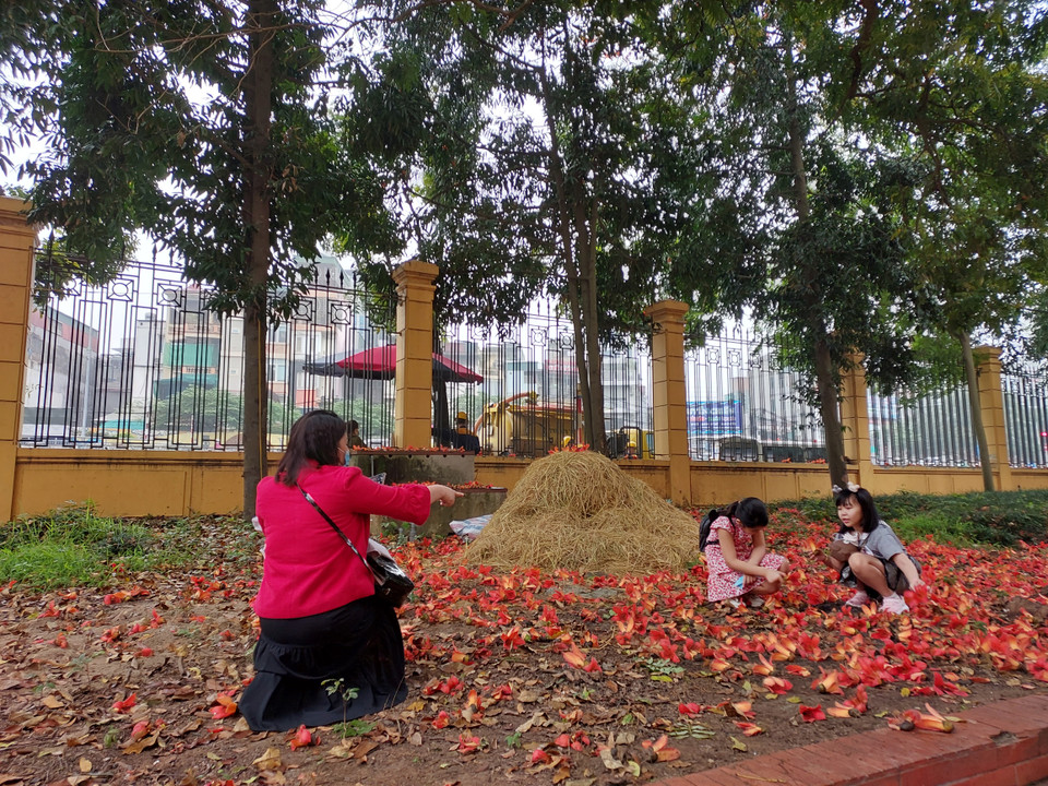 Dịp cuối tuần, nhiều gia đình đến bảo tàng tham quan, chụp ảnh với hoa gạo. (Ảnh: Minh Thu/Vietnam+)
