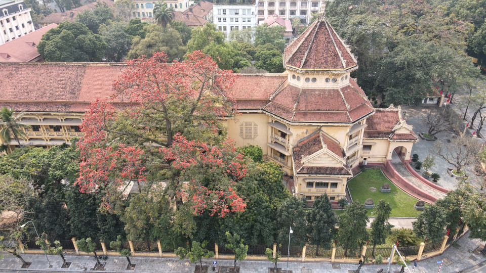  Bảo tàng Lịch sử Quốc gia cổ kính, trầm mặc nhưng cũng không kém phần rực rỡ trong sắc đỏ hoa gạo tháng Ba. (Ảnh: Nam Nguyễn/Vietnam+)
