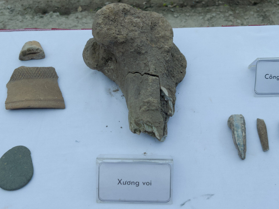 (Ảnh: Phương Anh/Vietnam+)