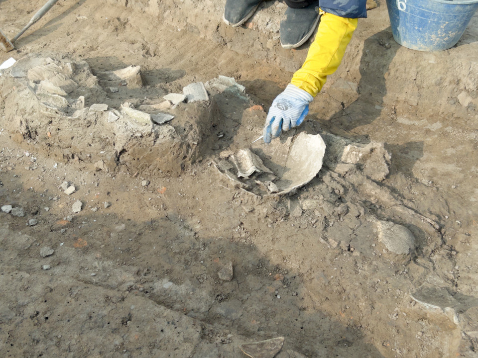 Chuyên gia cổ sinh vật học xử lý mộ táng. (Ảnh: Phương Anh/Vietnam+)