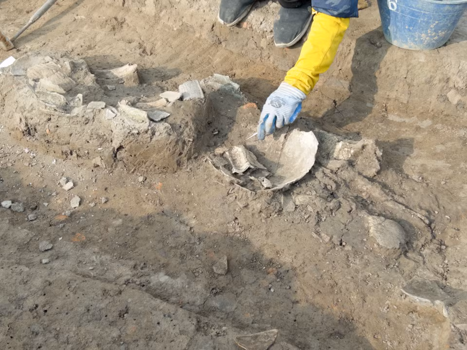 Chuyên gia cổ sinh vật học xử lý mộ táng. (Ảnh: Phương Anh/Vietnam+)