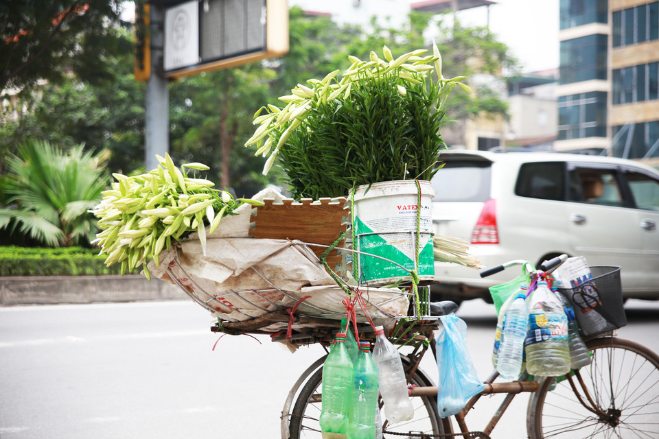 Lỉnh kỉnh trên xe chở hoa là những chai đựng nước để liên tục phun tưới, giúp hoa tươi lâu hơn. (Ảnh: Hương Lý/Vietnam+)