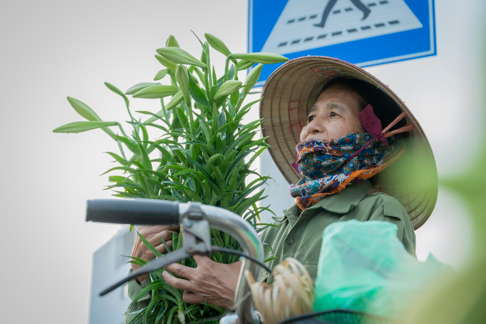 Những nụ hoa xanh xanh luôn có sức hút đặc biệt với người mua. (Ảnh: Hương Lý/Vietnam+)