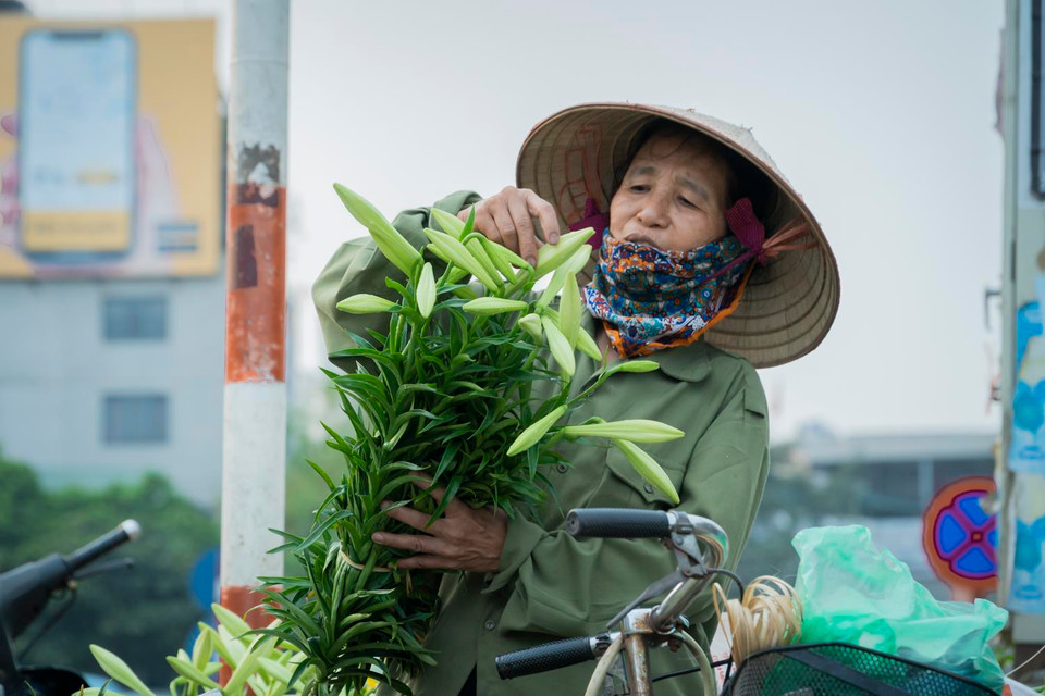 Loa kèn trở thành loại chủ lực của người bán hàng hoa mỗi độ tháng Tư về. (Ảnh: Hương Lý/Vietnam+)