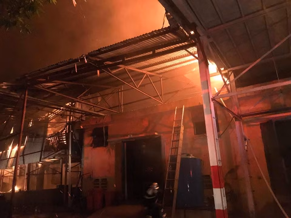  (Ảnh: Sơn Bách/Vietnam+)