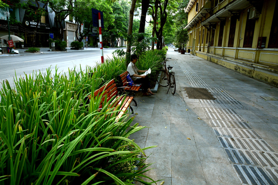 Một tác phẩm trong bộ ảnh 'Phố xanh mùa nhớ' giành giải Nhì của tác giả An Thành Đạt. 