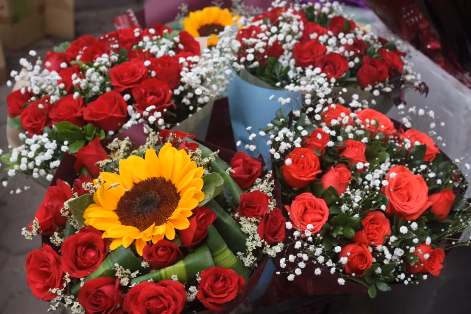 (Ảnh: Thu Uyên/Vietnam+)