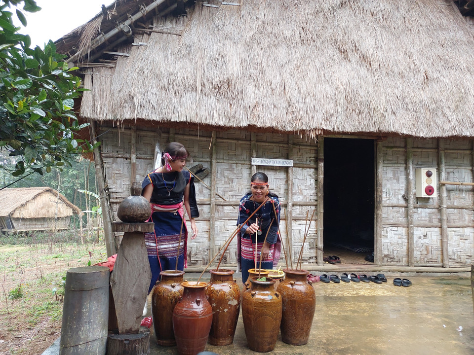 Từ sáng sớm, những người phụ nữ đã chuẩn bị nhiều vò rượu cần để phục vụ trong lễ cưới. Trai gái Ba Na đến tuổi trưởng thành được tự do lựa chọn bạn đời. Anh Đinh Mỡi, cán bộ Trung tâm Văn hóa Thông tin huyện K'Bang, tỉnh Gia Lai cho hay người Ba Na không quan trọng giàu nghèo, họ chỉ cần tìm người chồng/vợ trung thực, siêng năng, khỏe mạnh. Họ duy trì chế độ hôn nhân một vợ, một chồng. (Ảnh: Minh Thu/Vietnam+) 