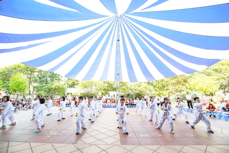 Học sinh đồng diễn võ thuật. (Ảnh: PV/Vietnam+)