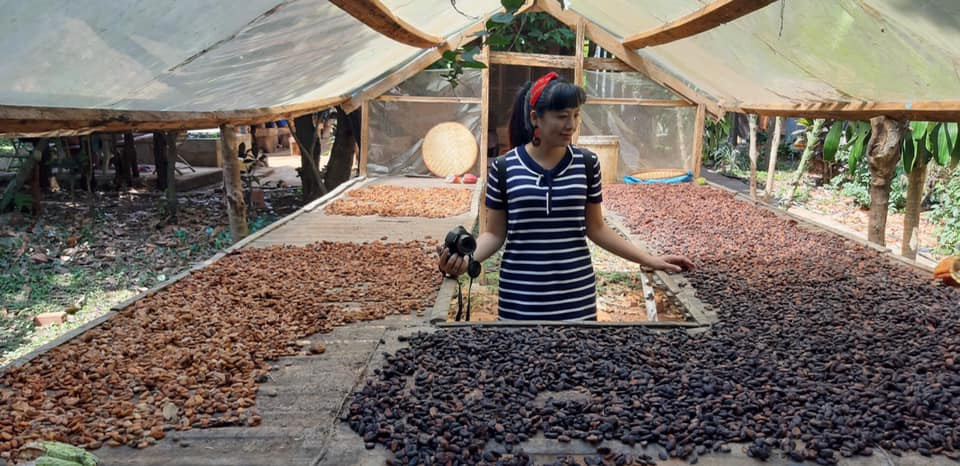 Du khách tham quan khu vực phơi hạt. (Ảnh: Minh Thu/Vietnam+)