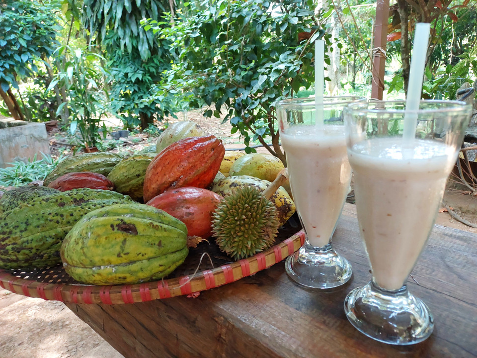 Ly sinh tố cacao có màu trắng và vị chua ngọt khá giống với sinh tố mãng cầu xiêm. (Ảnh: Minh Thu/Vietnam+)