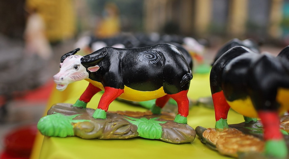 Trâu nhỏ và trâu lớn đều được trang trí với các mảng màu sắc giống nhau. (Ảnh: PV/Vietnam+)