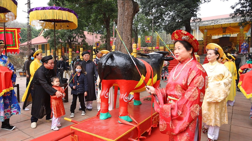 Người dân cũng lần lượt tham gia đả trâu sau đó. (Ảnh: PV/Vietnam+)