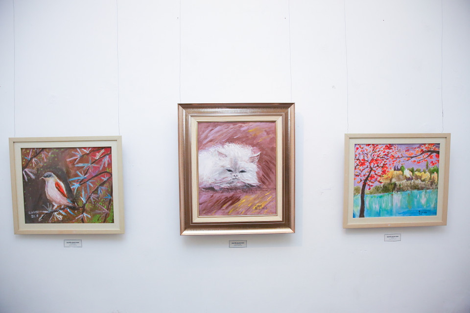 Triển lãm mở cửa từ ngày 10/12 đến hết ngày 21/12. (Ảnh: Minh Sơn/Vietnam+)