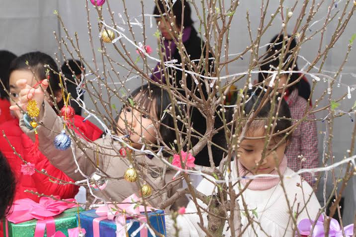 Ngày tết, tất nhiên không thể thiếu hoa đào. (Ảnh: CTV/Vietnam+)