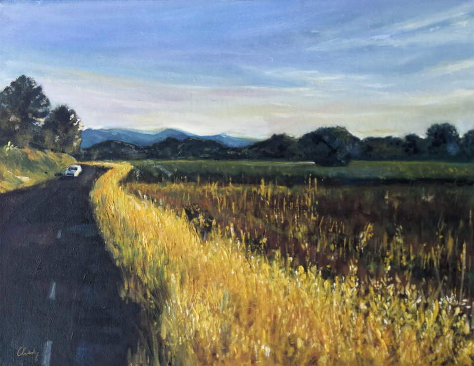 Trên những nẻo đường xứ sở hoa lavender. (Ảnh: Nguyễn Lý Bằng/Vietnam+)