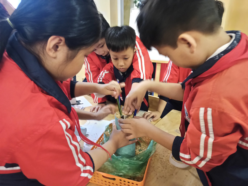 …và nhồi thêm một lớp trấu để cách nhiệt. (Ảnh: PM/Vietnam+)