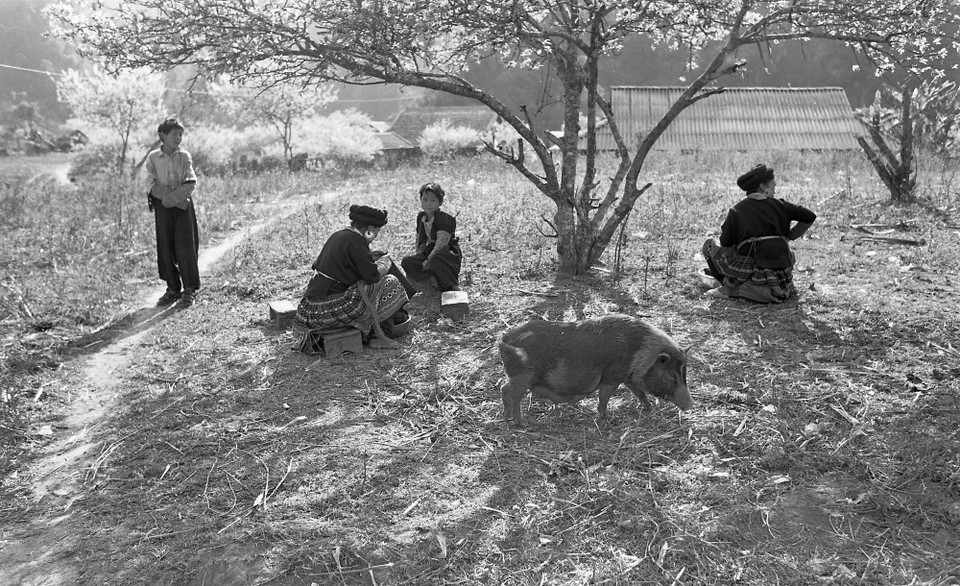 Triển lãm ảnh 'Thư Đồng Văn' giới thiệu tới công chúng khoảng 50 tác phẩm ảnh chụp bằng film đen trắng của nhà nhiếp ảnh, nhà quay phim gạo cội - nghệ sỹ nhân dân Nguyễn Hữu Tuấn. (Ảnh: NSND Nguyễn Hữu Tuấn)