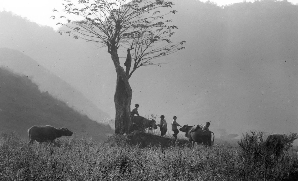 Bởi vậy, bên cạnh những thước phim, nghệ sỹ Nguyễn Hữu Tuấn đã ghi lại những khoảnh khắc ấn tượng bằng những bức ảnh giàu giá trị tư liệu, xúc cảm. (Ảnh: NSND Nguyễn Hữu Tuấn)