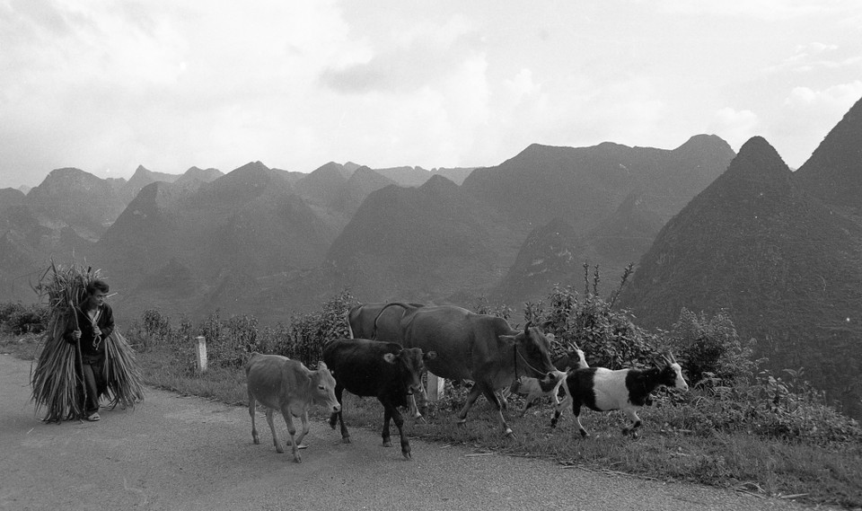 (Ảnh: NSND Nguyễn Hữu Tuấn)