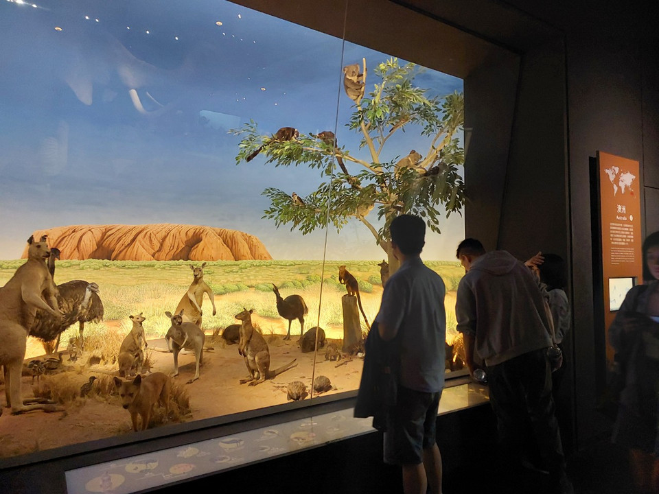 Khu vực này thu hút nhiều gia đình và khách tham quan nhỏ tuổi. (Ảnh: Minh Thu/Vietnam+)