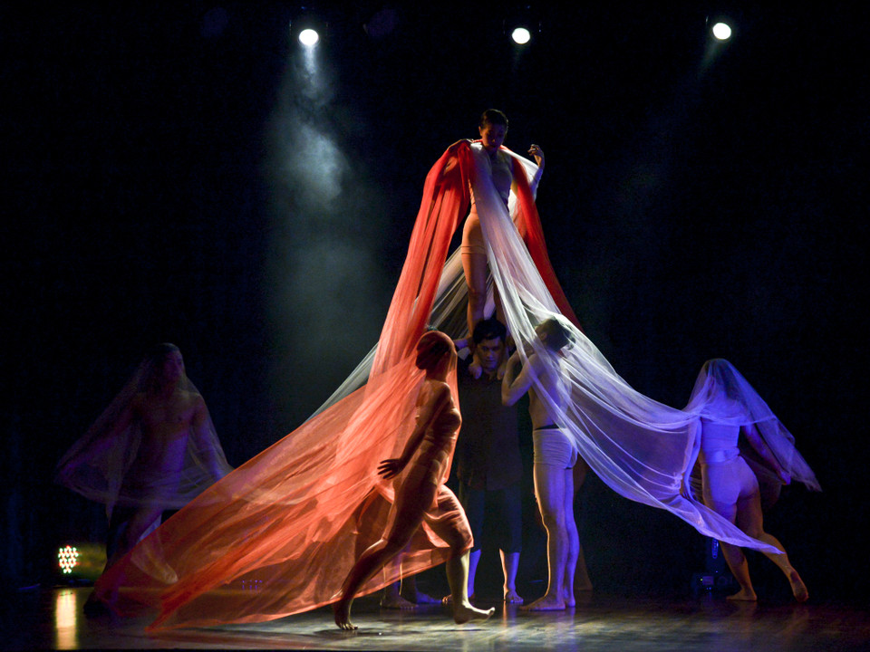 (Ảnh: Ngọc Hiền/Vietnam+)