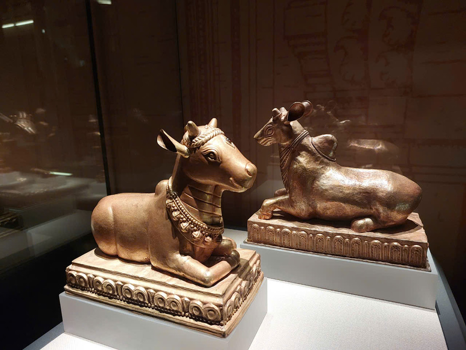 Trong truyền thuyết, tượng bò thần Nandin, linh vật thần Shiva thường cưỡi, là “Mẹ của quá khứ và tương lai” cung cấp sữa nuôi sống con người và giúp trị bách bệnh. (Ảnh: Minh Thu/Vietnam+)