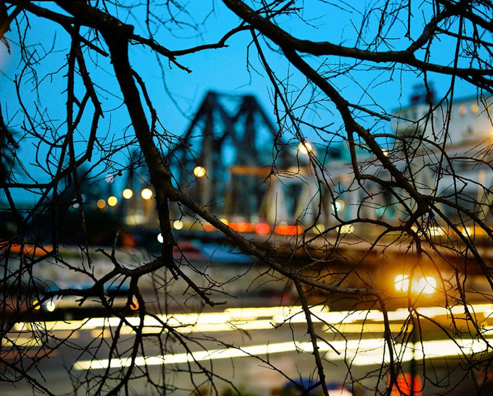 'Hà Nội luôn lôi cuốn, hấp dẫn bởi có bốn mùa khác biệt. Mỗi mùa lại có những loài hoa đặc trưng. Cảnh sắc, màu của phố cũng biến chuyển cùng nhịp thời gian,' đại diện ban tổ chức chia sẻ. (Ảnh: BTC cung cấp)