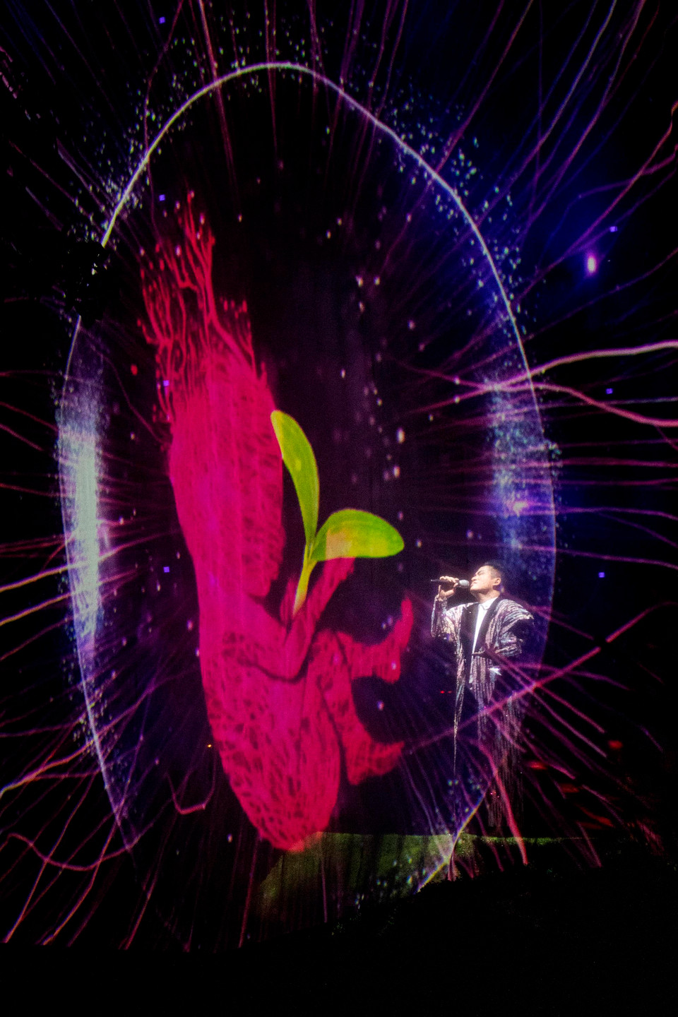 Tùng Dương cũng mang tới nhiều bất ngờ khi thể hiện Mang thai được phối theo phong cách electronic rock. (Ảnh: BTC)