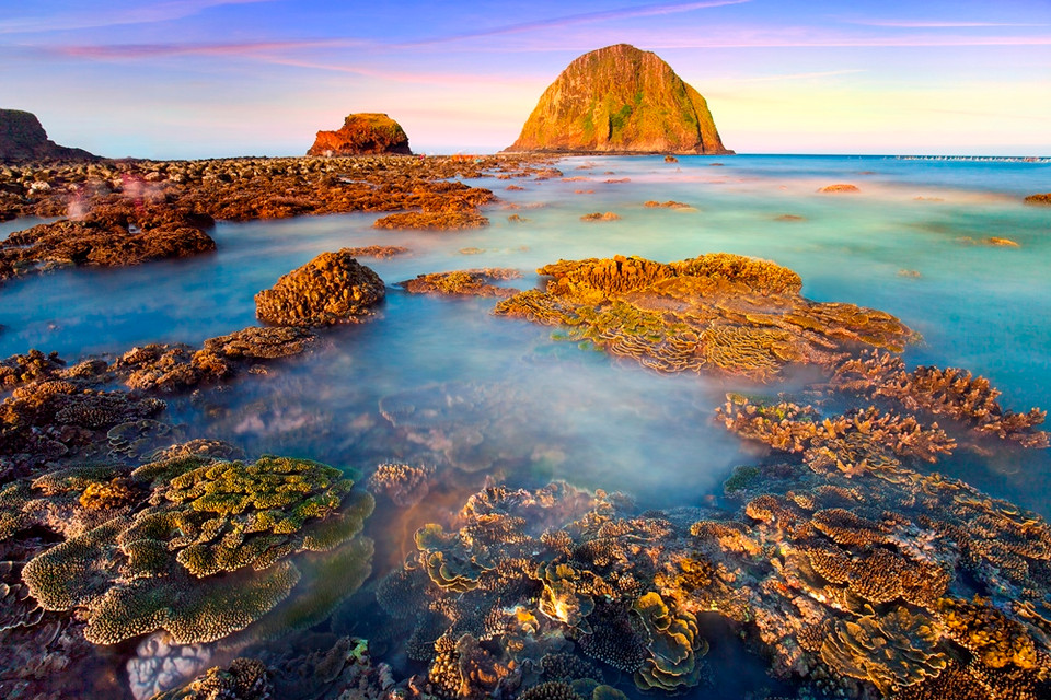 Cảnh sắc Việt Nam hút hồn với 'Hoa biển' (Nguyễn Tiến Dũng). (Ảnh: BTC)