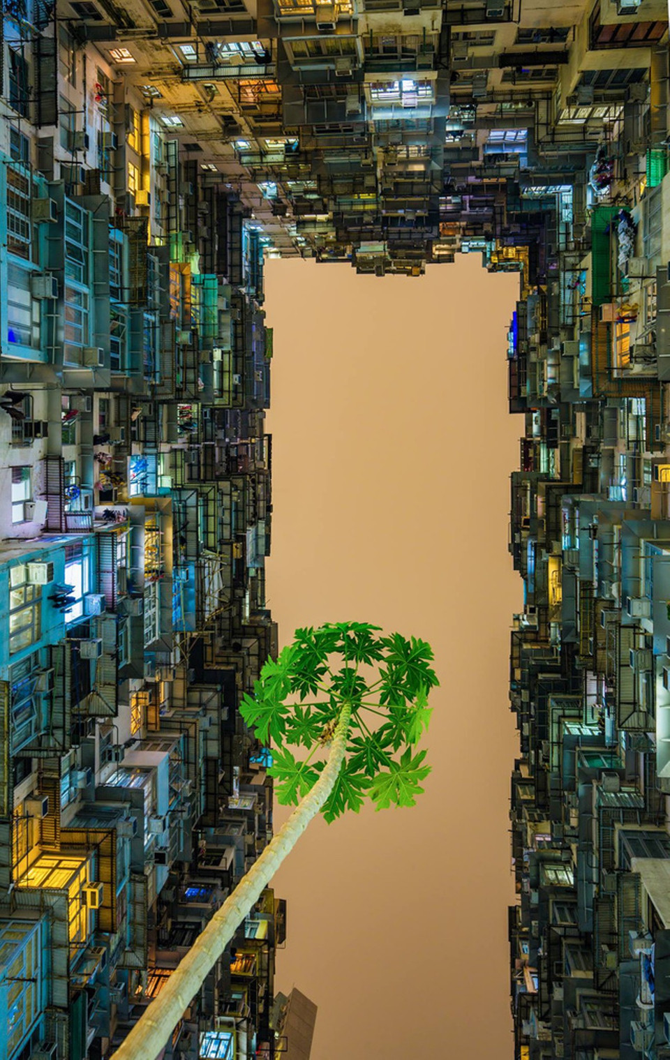 'Mầm sống' qua góc nhìn của tác giả Trần Vũ Quang Duy. (Ảnh: BTC)