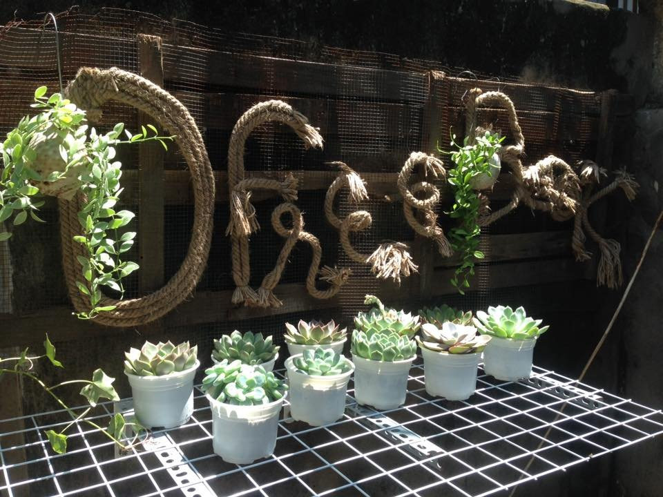 Mọi người đến mượn sách có thể mua cây để ủng hộ nguồn quỹ của thư viện. (Ảnh: Thu Minh/Vietnam+)