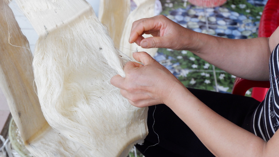 Kéo tơ xong, người thợ phải nhặt sạch tạp chất, quấn cho khuôn tơ được suôn và đều. Cuộn tơ phải trắng, sạch thì mới đem đi phơi khô. (Ảnh: Bích Hà/Vietnam+)