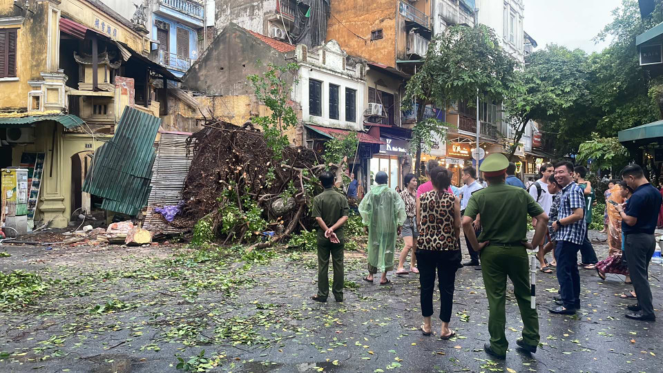 Tại phố Hàng Cá, cây đổ làm sập một ngôi nhà. Chỉ huy Đội Cảnh sát phòng cháy chữa cháy và cứu nạn cứu hộ Công an quận Hoàn Kiếm xác nhận sự cố khiến làm 1 người bị thương nhẹ do cây đổ trúng. Hiện lực lượng chức năng đã có mặt để xử lý. (Ảnh: Hoàng Hiếu/Vietnam+)