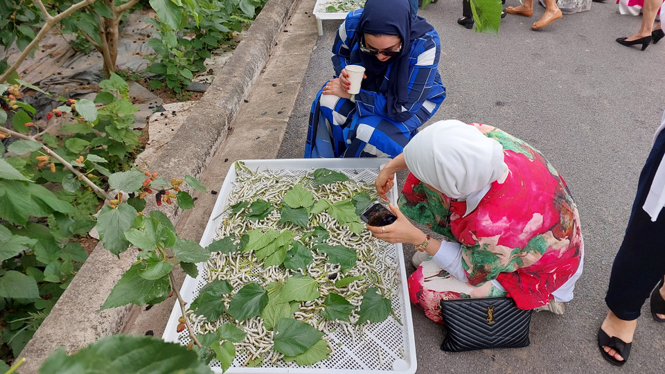 Nhiều phu nhân không ngần ngại chạm vào con tằm và chụp ảnh. (Ảnh: Minh Thu/Vietnam+)