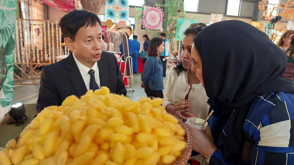 Ông Lê Hồng Vân, Giám đốc Trung tâm Nghiên cứu Dâu tằm tơ Trung ương (VIETSERI) giới thiệu cho các đại biểu về quy trình nuôi tằm. (Ảnh: Minh Thu/Vietnam+)