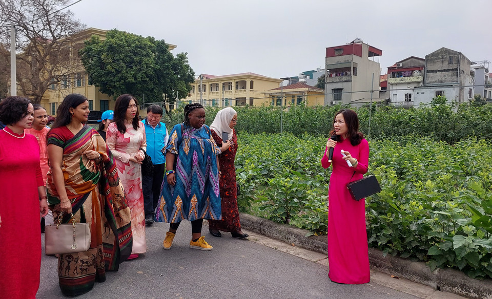 Nhằm tăng cường giao lưu văn hóa đồng thời tạo cơ hội quảng bá ngành nuôi tằm dệt lụa của Việt Nam, ngày 21/3, Bộ Ngoại giao cùng Nhóm Phụ nữ cộng đồng ASEAN tại Hà Nội (AWCH) tổ chức buổi trải nghiệm cho các cán bộ ngoại giao và phu nhân Đại sứ tại Trung tâm Nghiên cứu Dâu tằm tơ Trung ương (VIETSERI). (Ảnh: Minh Thu/Vietnam+)