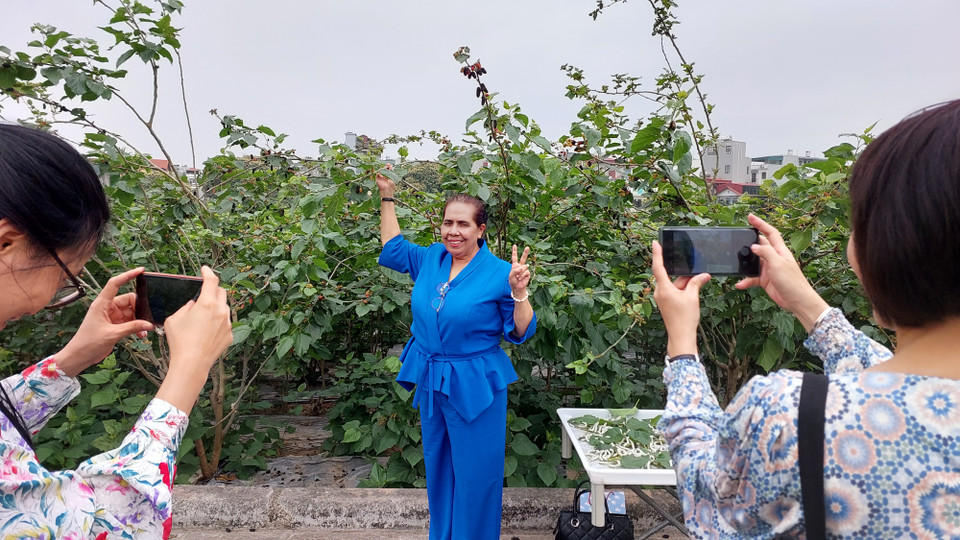 Chụp ảnh kỷ niệm tại vườn dâu tằm. (Ảnh: Minh Thu/Vietnam+)