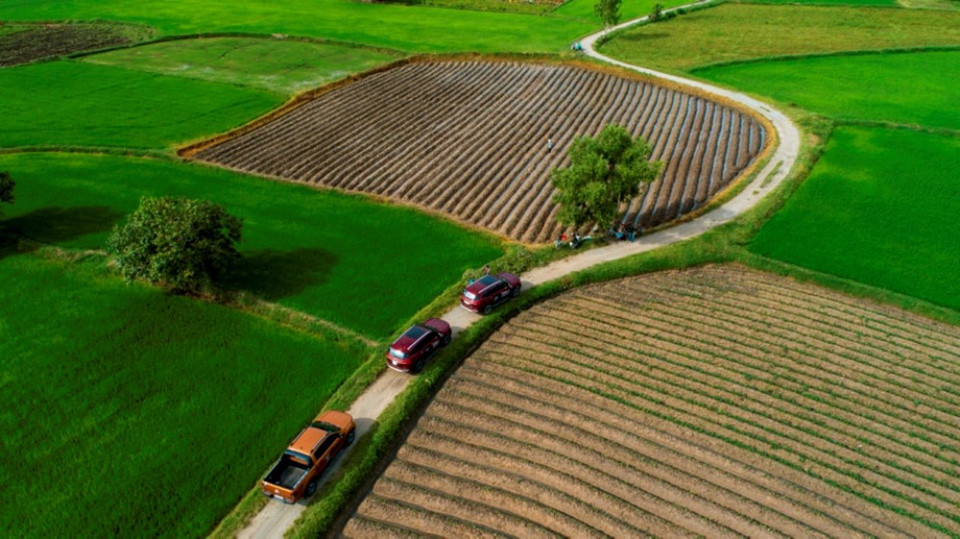 'Nắng sớm trên cánh đồng Tà Pạ' qua ống kính của tác giả Mai Thành Chương. (Nguồn ảnh: BTC)