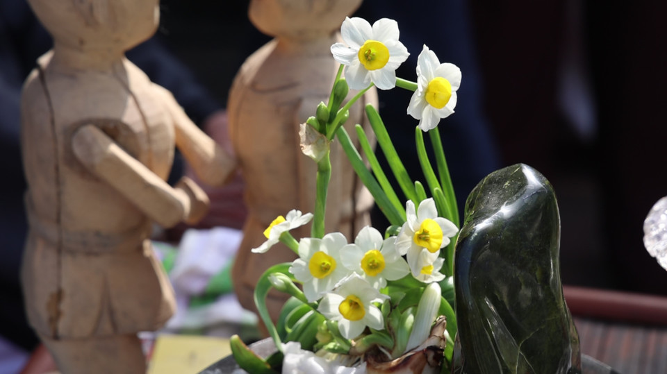 Thủy tiên thanh tao, trừ tà, mang lại cát tường; đồng tiền tượng trưng cho mong ước phát tài phát lộc; hoa cúc với nhiều cánh biểu trưng cho sự trường tồn…. (Ảnh: Minh Anh/Vietnam+)