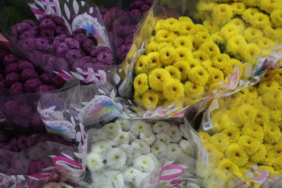 Mỗi màu sắc, loại hoa là nơi gửi gắm nhiều hy vọng tốt đẹp cho dịp đầu năm mới. (Ảnh: Minh Anh/Vietnam+)