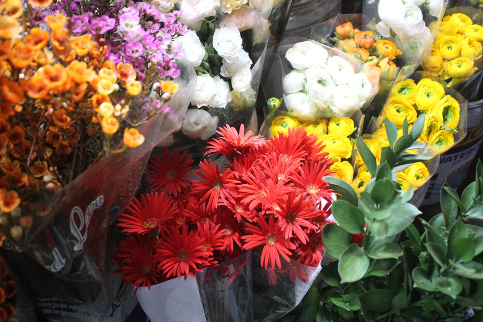 Giữa muôn vàn giống hoa nhập từ Trung Quốc hiện nay, sự trở lại của thược dược, đồng tiền ta, cẩm chướng ta, violet, dơn (lay ơn) và hai loại cúc magic, xuxi kể trên… bỗng gợi một cảm giác đầy hoài niệm nhớ nhung, đặc biệt là vào những ngày cận Tết. (Ảnh: Minh Anh/Vietnam+)